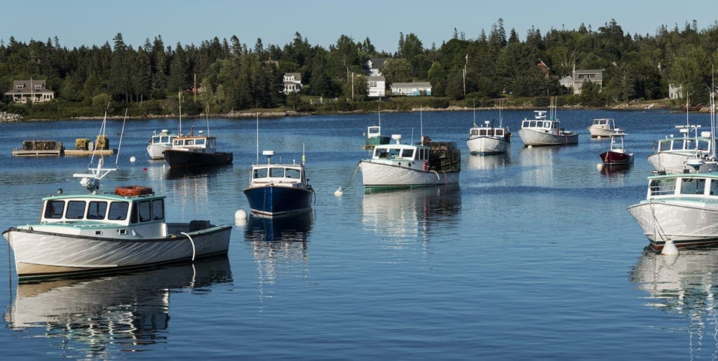 Fishing Boats