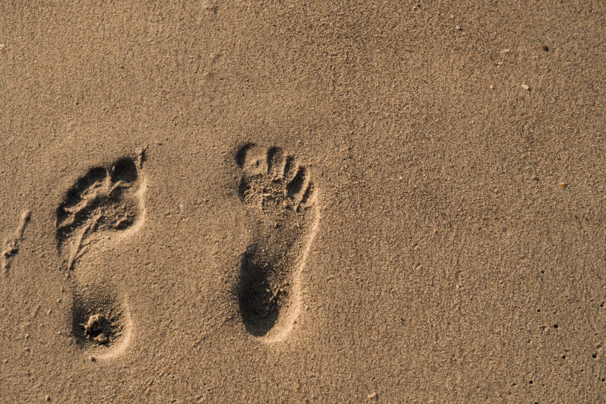 footprint on wet sand