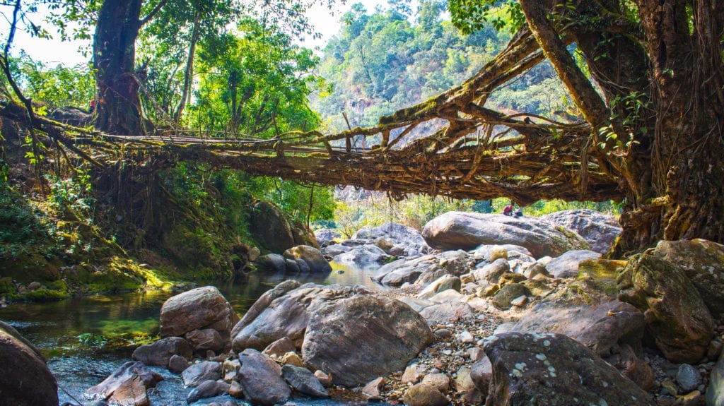 Meghalaya Bridge