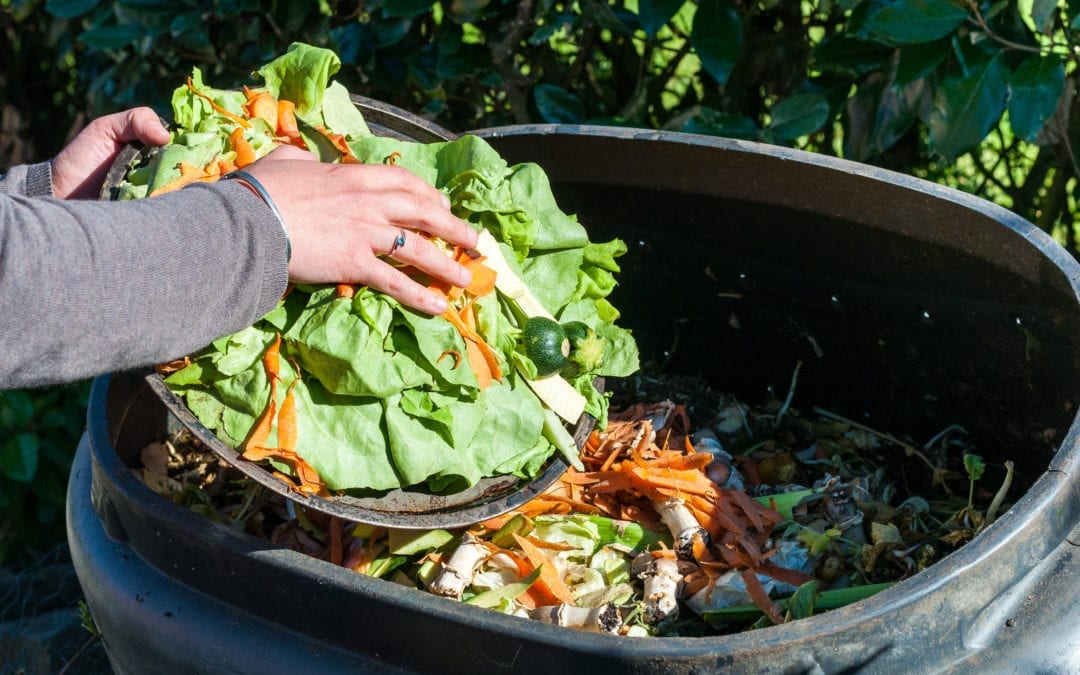Composting the Kitchen Waste