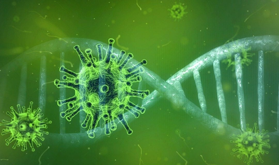 Using nature as a model for our response to the coronavirus