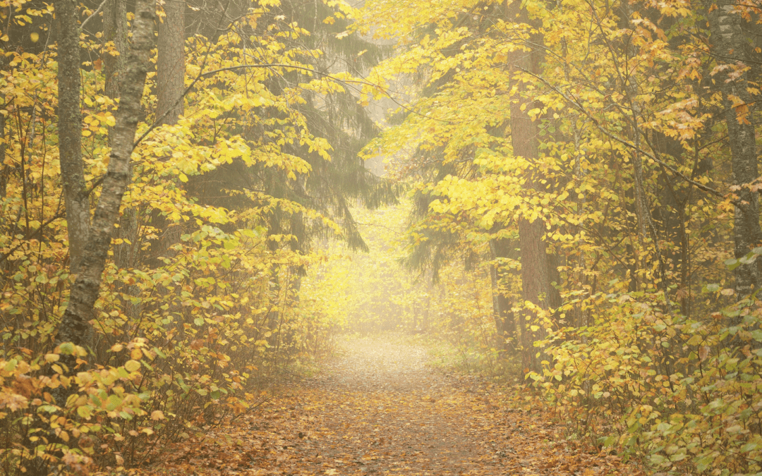 active hope