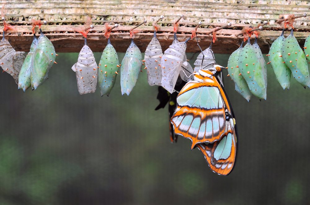 3 Strategies to Overcome the Fear of Change