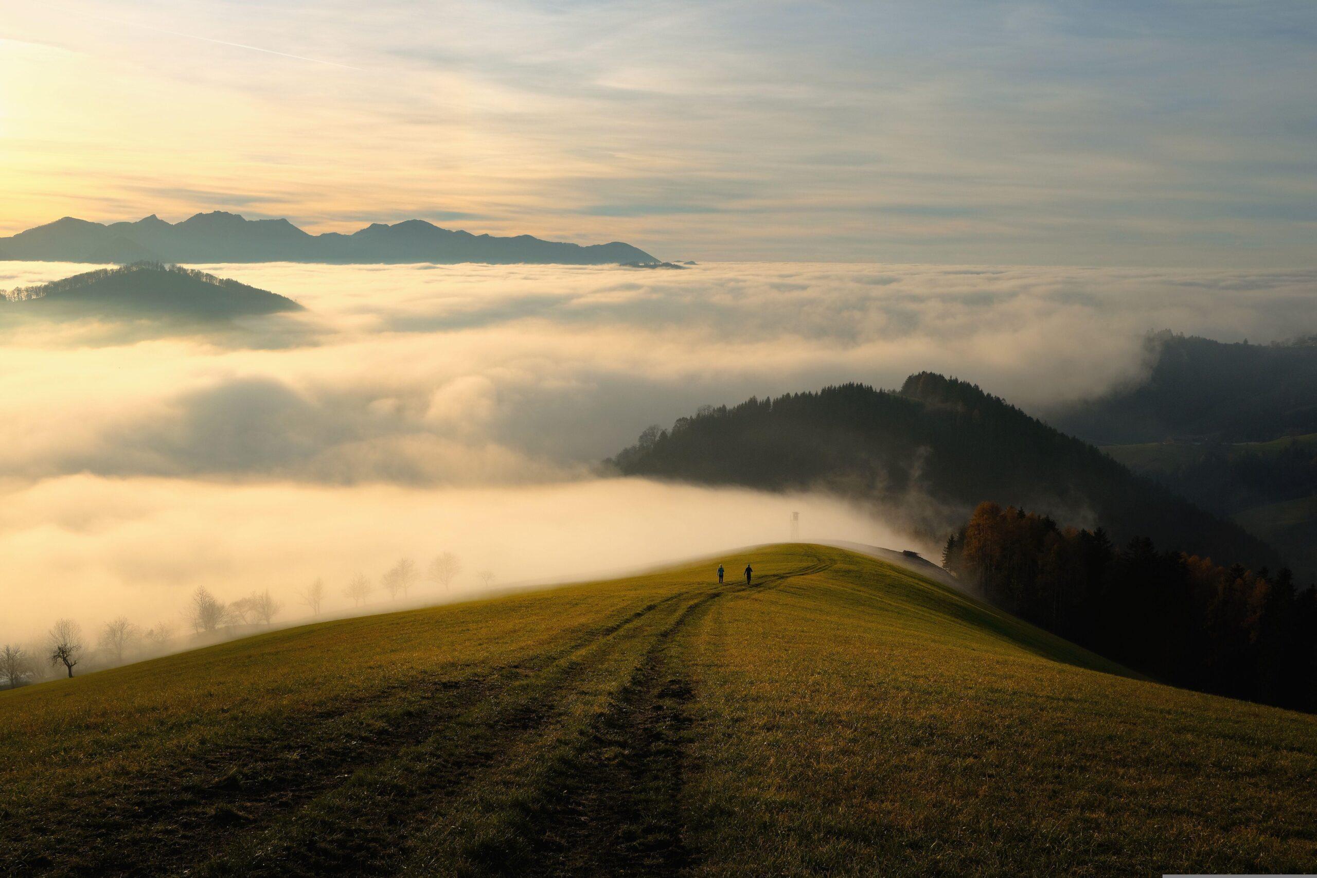 regenerative purpose